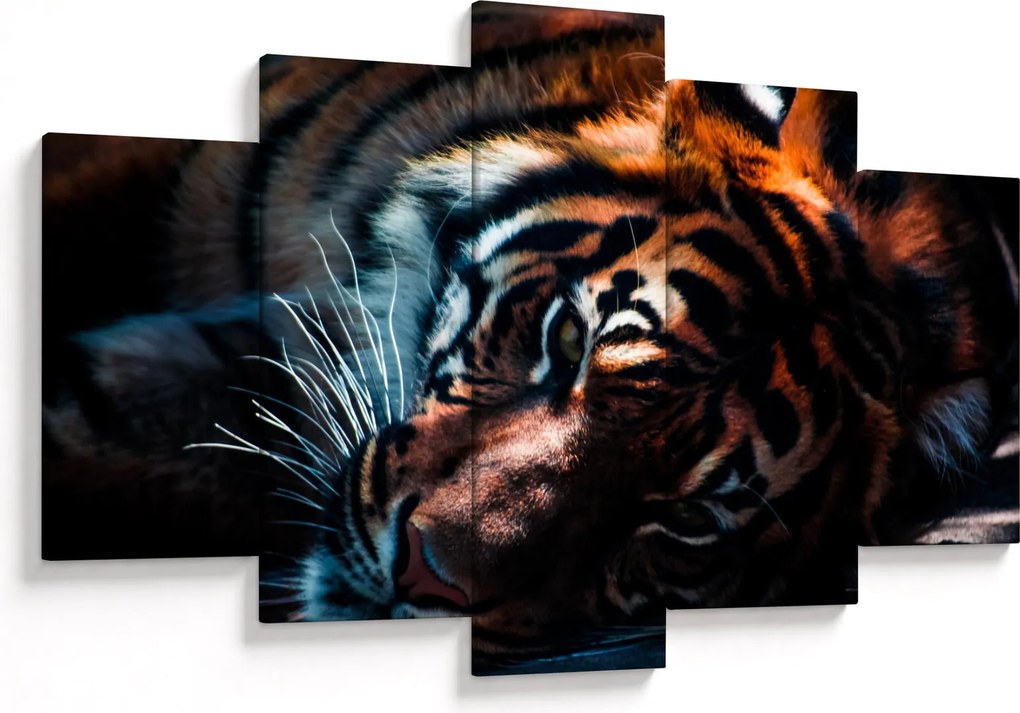 Obraz ležiaceho tigra (150x105 cm)