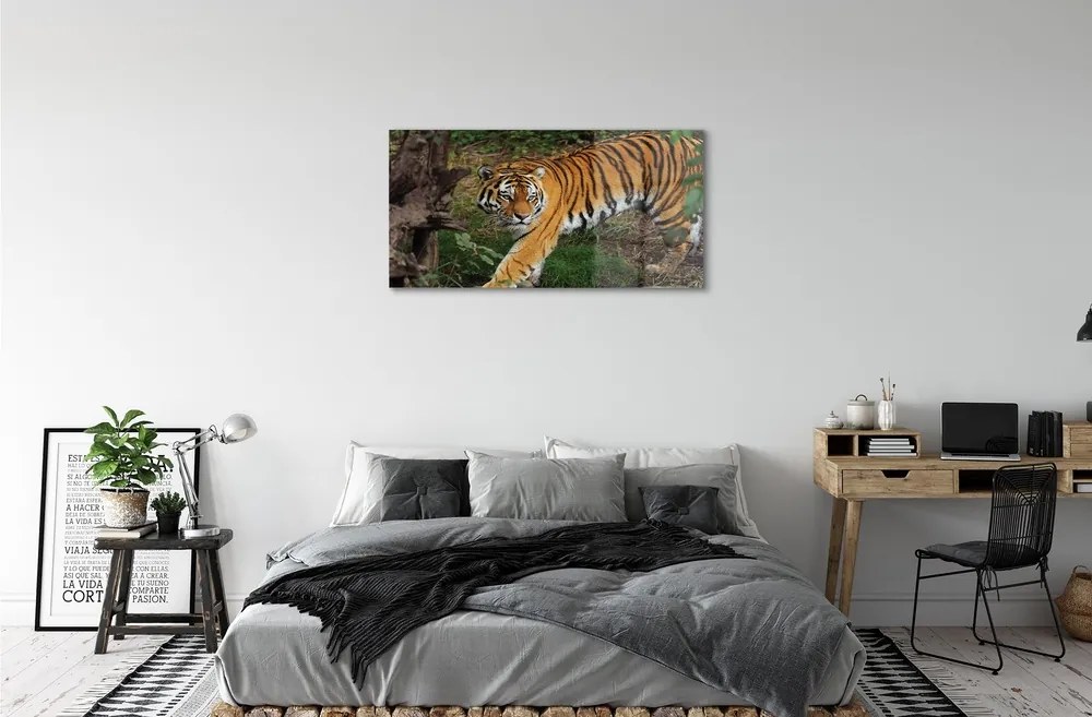 Sklenený obraz Tiger Woods 125x50 cm