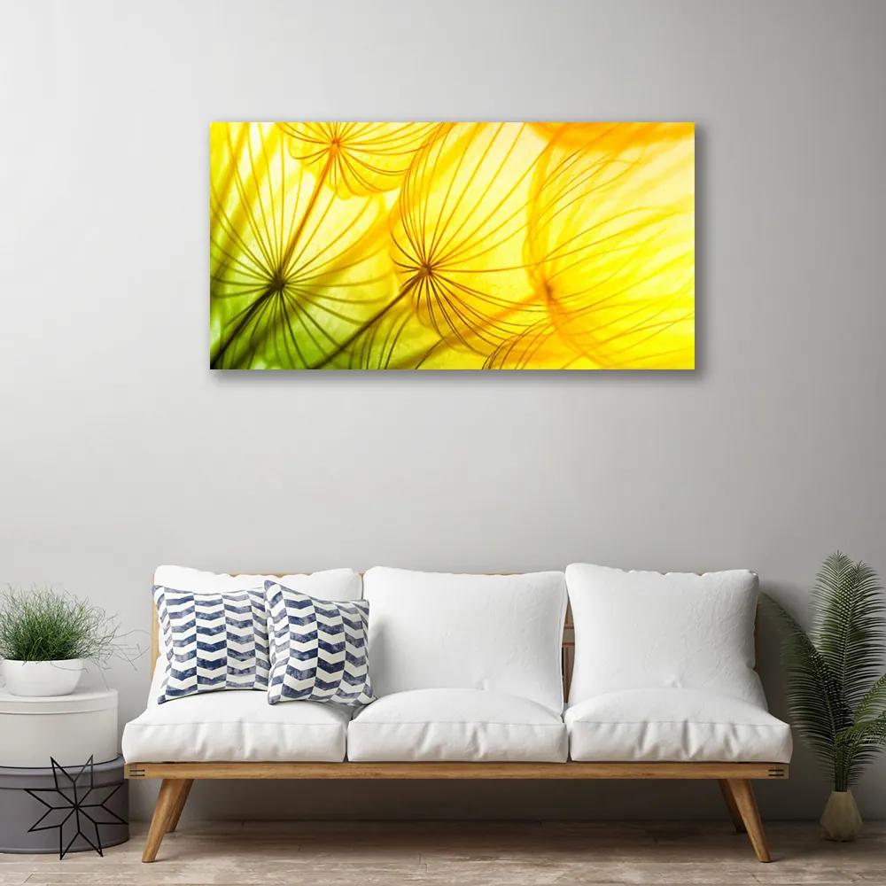 Obraz Canvas Púpavy kvety príroda 125x50 cm