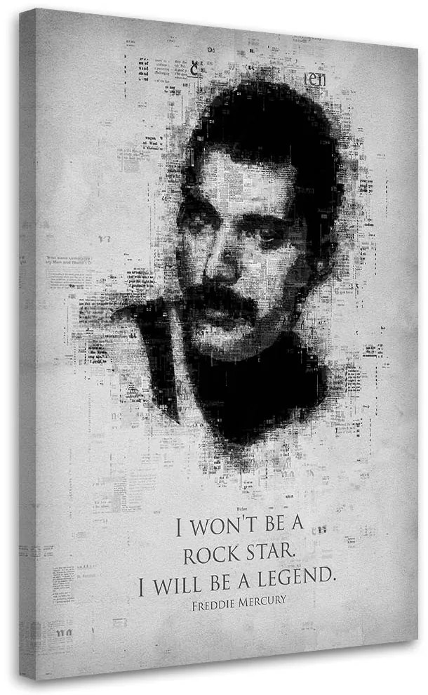 Gario Obraz na plátne Freddie Mercury - Gab Fernando Rozmery: 60 x 90 cm