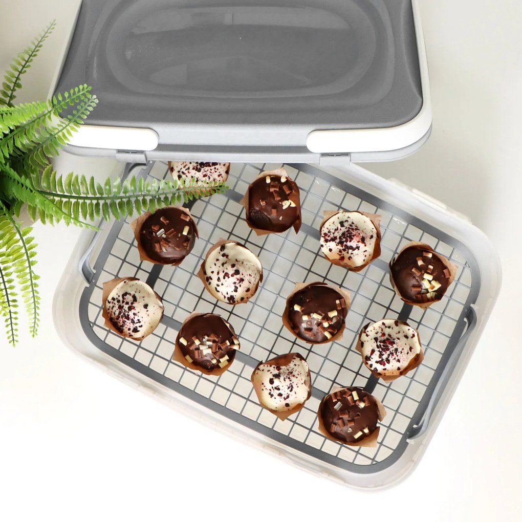 Orion Úložný box na koláče a zákusky, PIKNIK 1 poschodie, s rúčkami, mix farieb