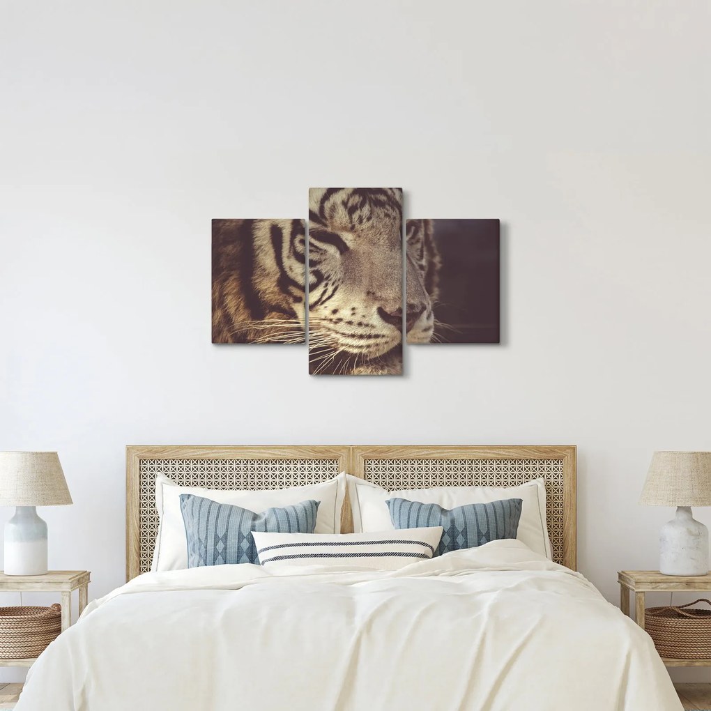 Obraz tigra (90x60 cm)