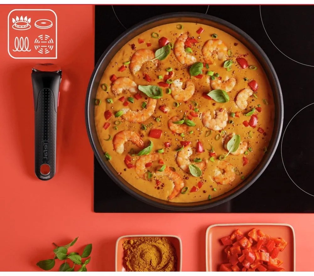 Antikoro súprava riadu 13 ks INGENIO Emotion L897DS04 – Tefal