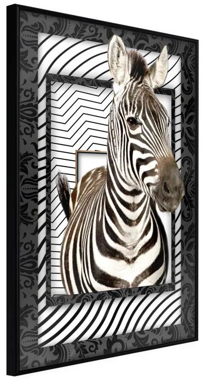 Plagát v ráme-Zebra in the Frame