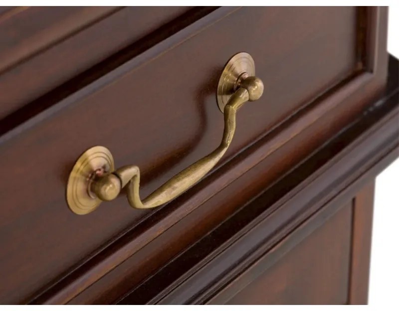 furniture-nabytek.cz - Masívny písací stôl Cambridge z mahagónu, lakovaný, hnedý – 120×60×80 cm