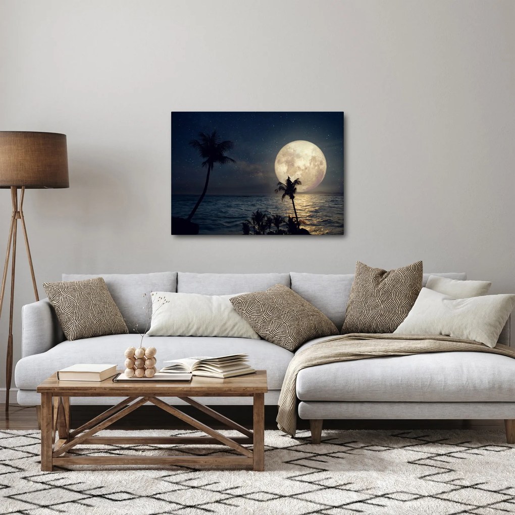 Obraz - Pláž za splnu (70x50 cm)