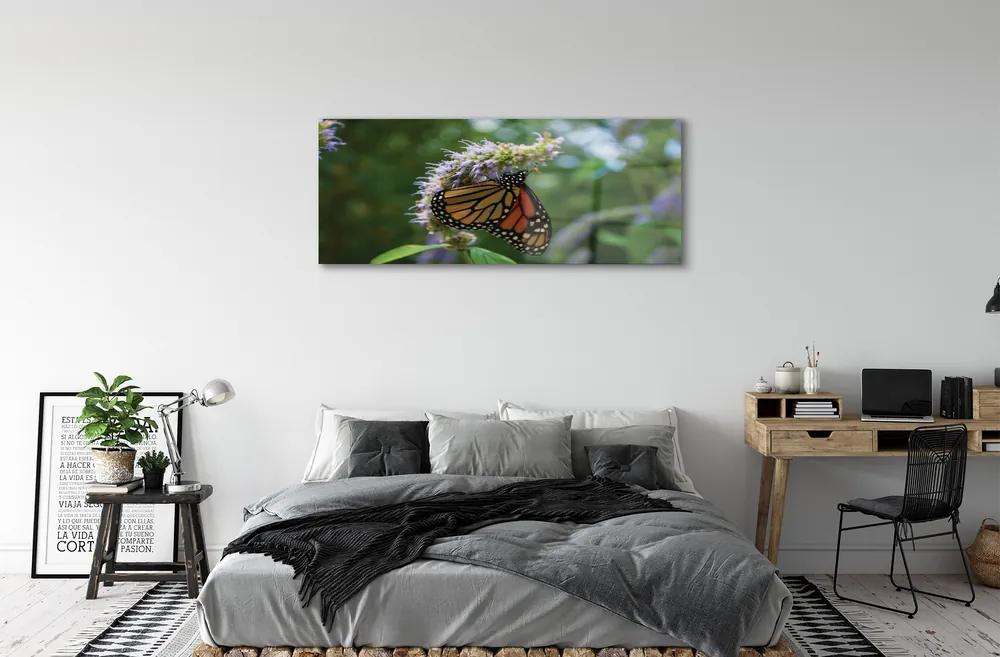 Obraz na akrylátovom skle Kvet farebný motýľ 120x60 cm