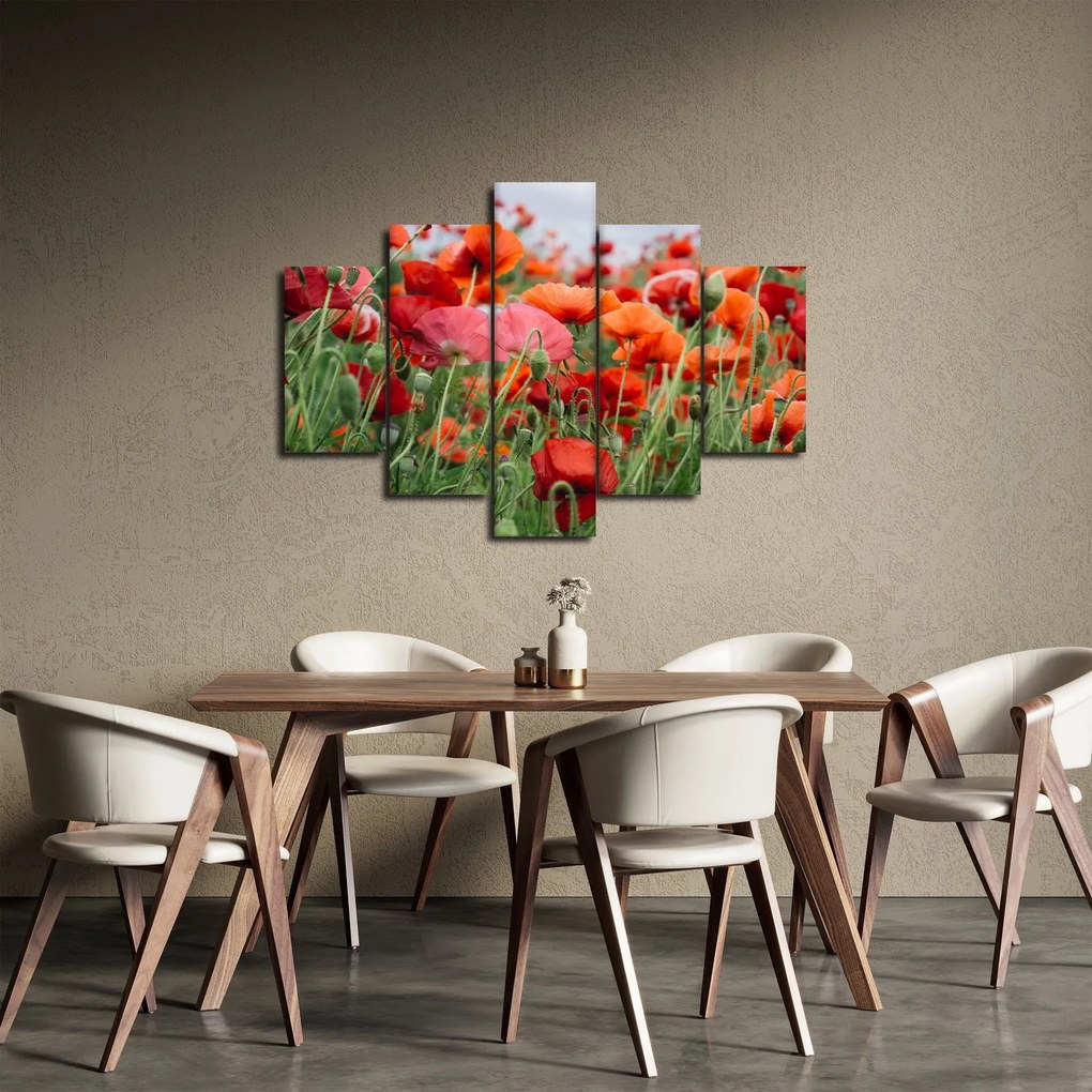 Obraz z poľa vlčích makov (150x105 cm)