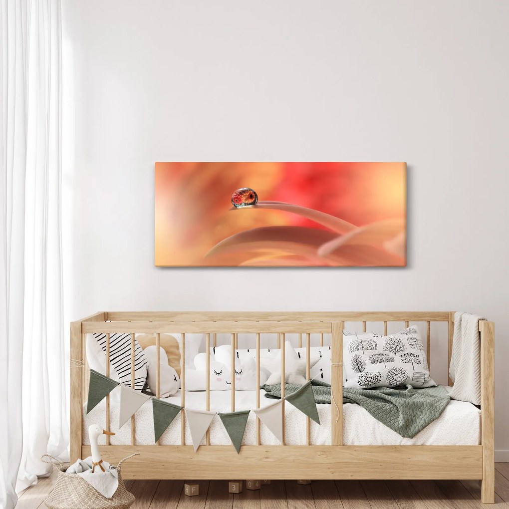 Obraz kvetinové kvapky rosy (120x50 cm)