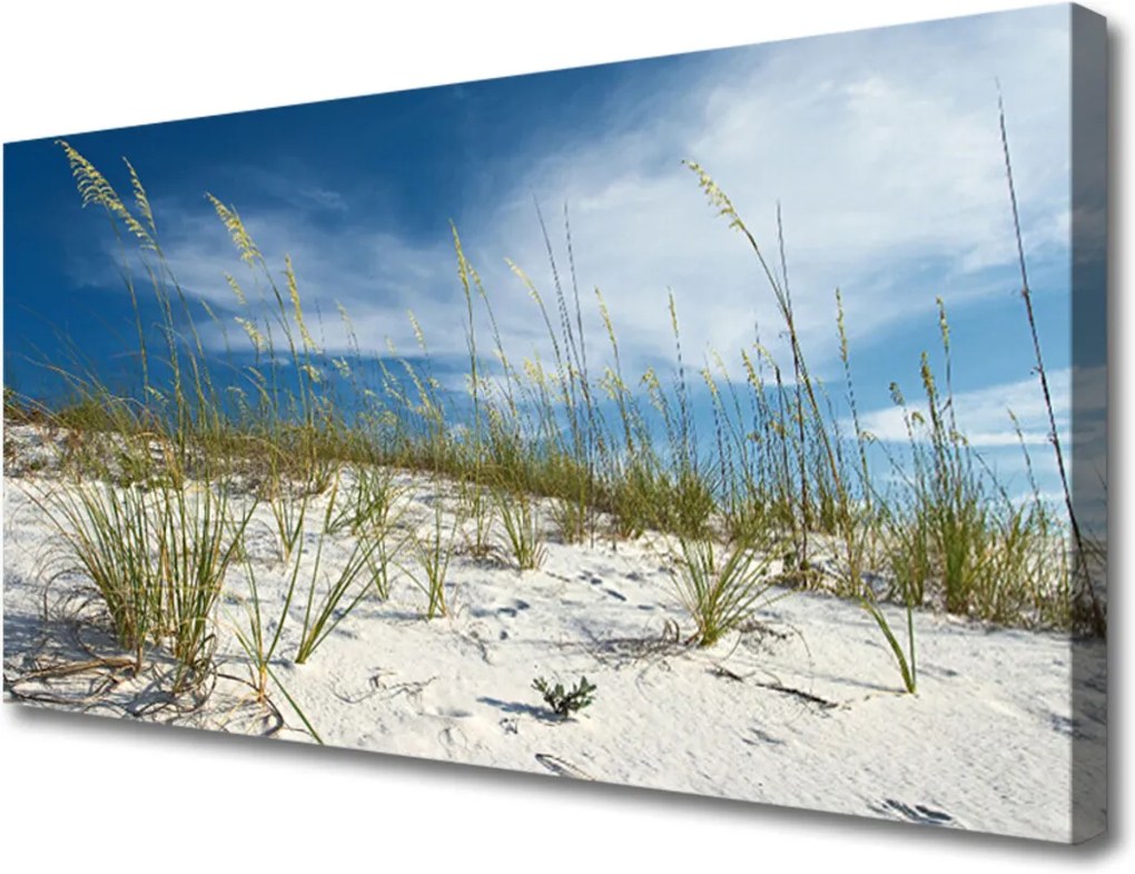 Obraz na plátně Skleněný pláž krajina