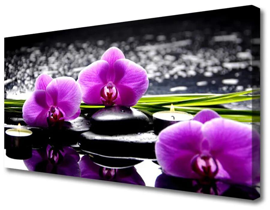 Obraz na plátne Kvet kamene rastlina 140x70 cm