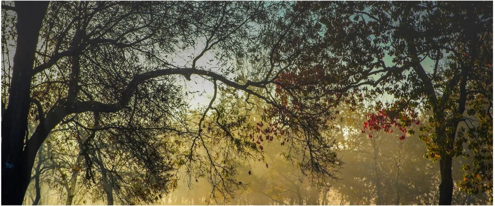 Obraz východu slnka (120x50 cm)