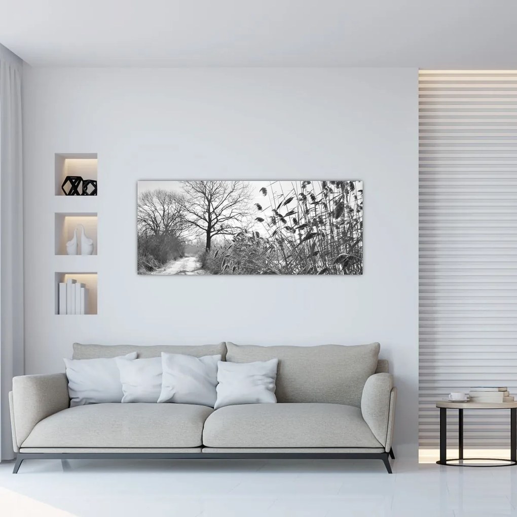 Obraz - Pole v zime (120x50 cm)