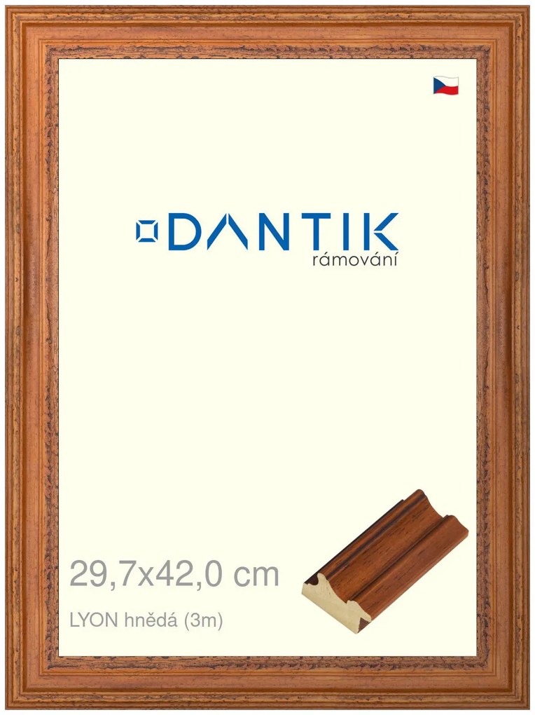 DANTIK rám na obraz 29,7x42 | LYON hnědá (Plexi Čiré)