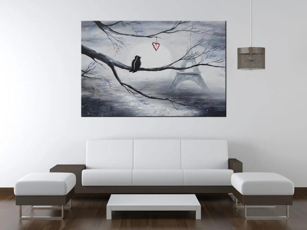 Gario Ručne maľovaný obraz Vtáčia romantika v Paríži Rozmery: 100 x 70 cm
