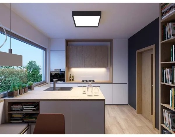 LED2 - LED Stropné svietidlo MILO LED/30W/230V čierna 3000/4000K