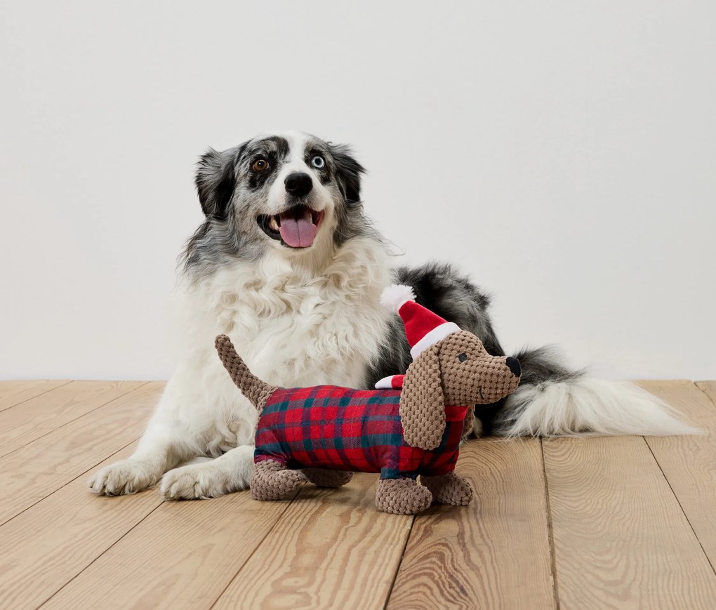 Plyšová hračka pre psy, jazvečík