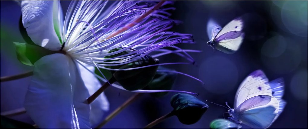 Obraz - Tropický kvet (120x50 cm)