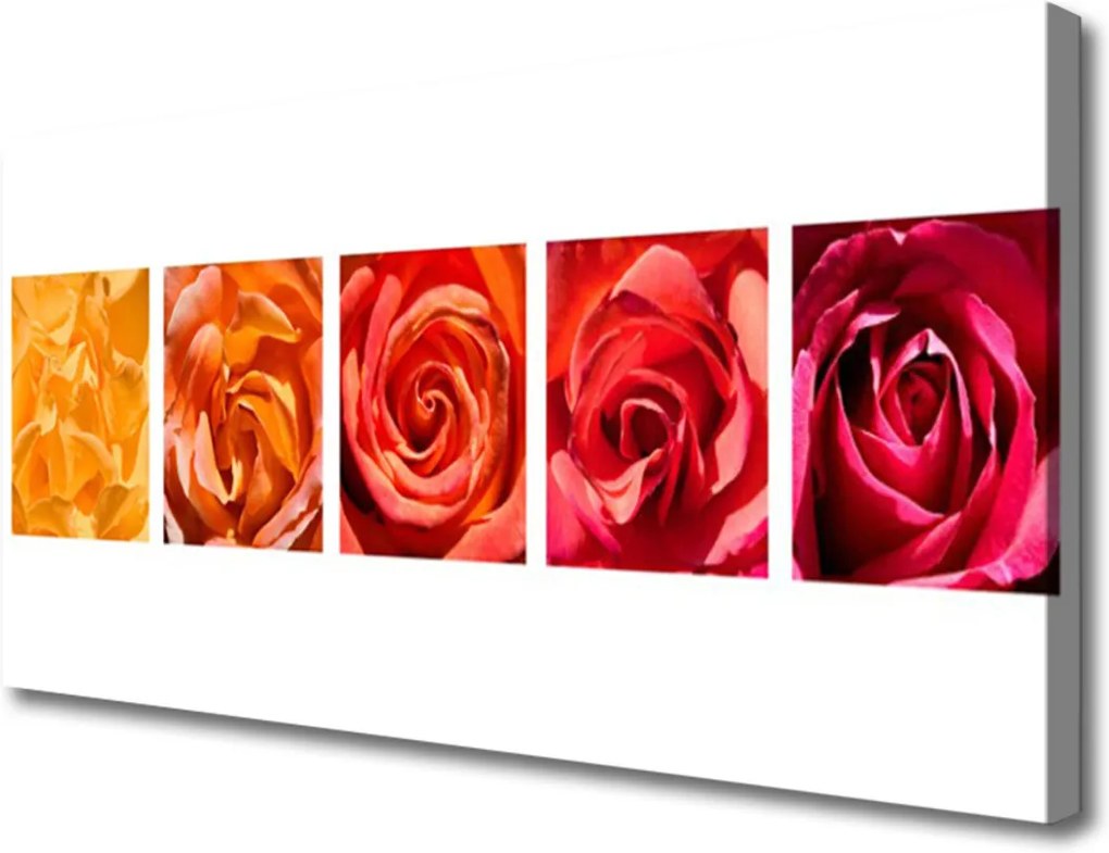 Obraz Canvas Růže květiny rostlina