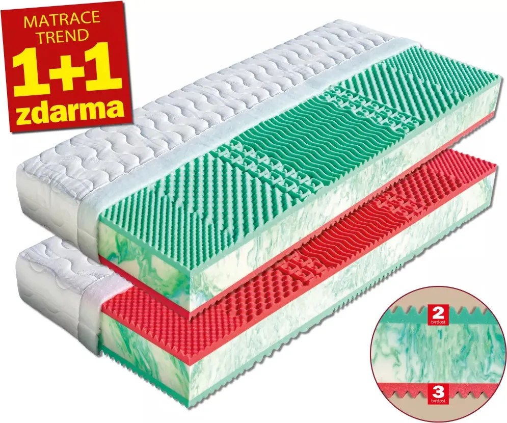 Drevočal Studená pena Ema 1+1 zadarmo Veľkosť: 200 x 120 x 23, Poťah: Lyocell