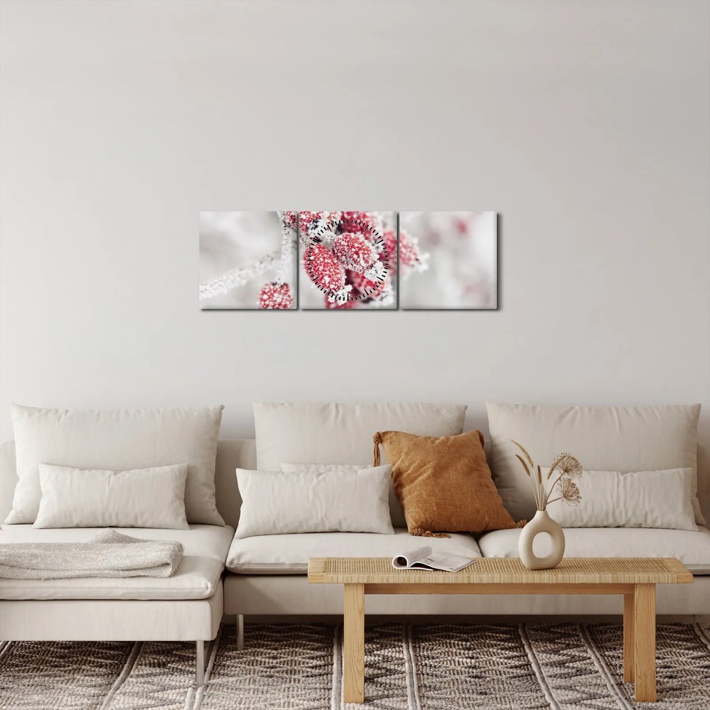 Obraz - Zamrznuté plody (s hodinami) (90x30 cm)