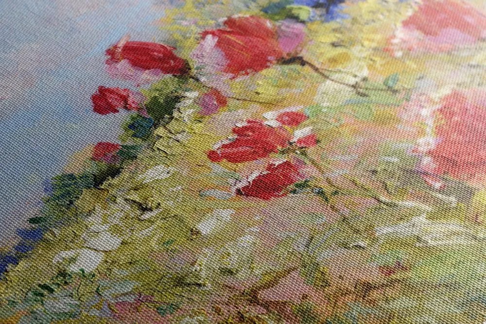 Obraz divé maky na lúke