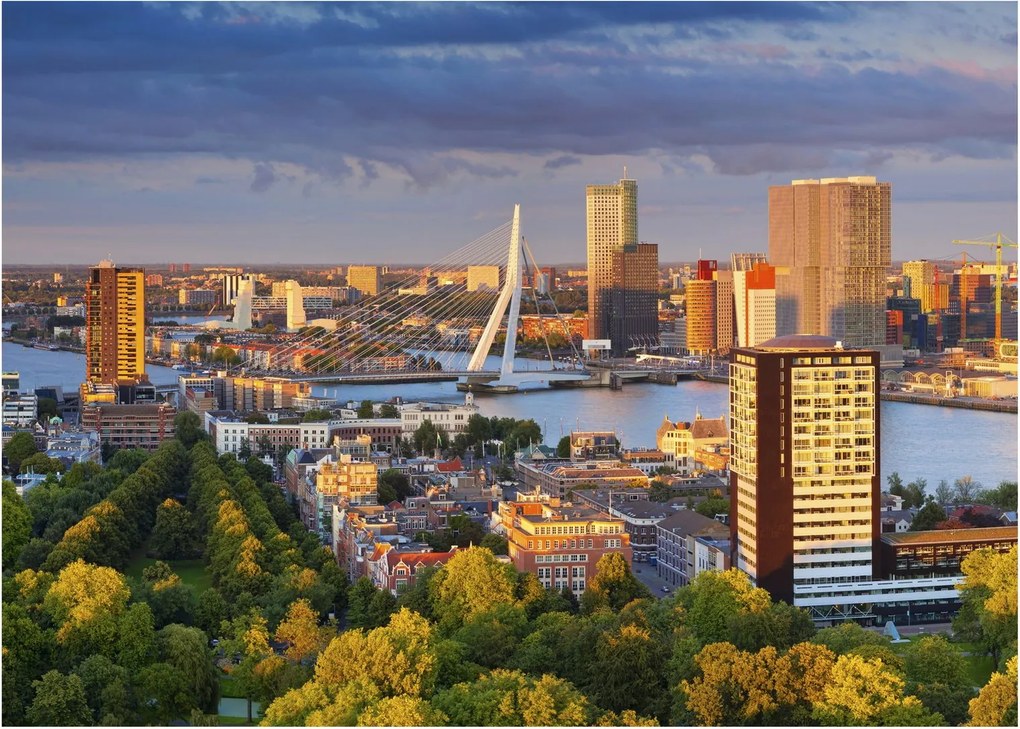 Sklenený obraz - Panorama Rotterdamu, Holandsko (70x50 cm)