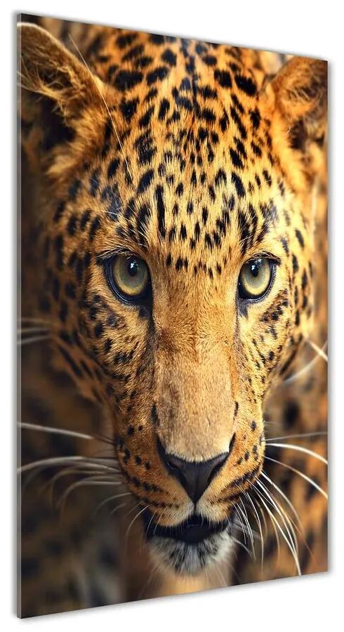 Foto obraz akryl zvislý do obývačky Leopard pl-oa-70x140-f-42852431