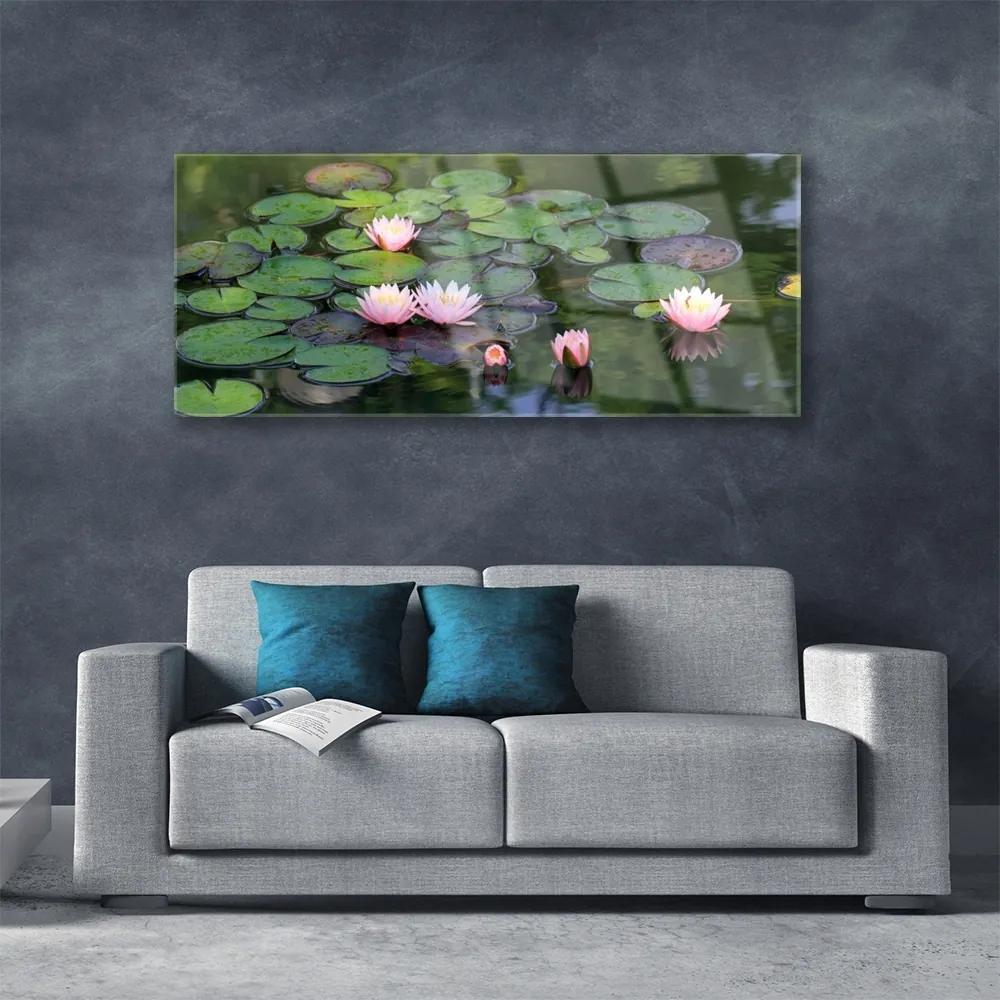 Obraz plexi Vodné lilie rybník príroda 125x50 cm