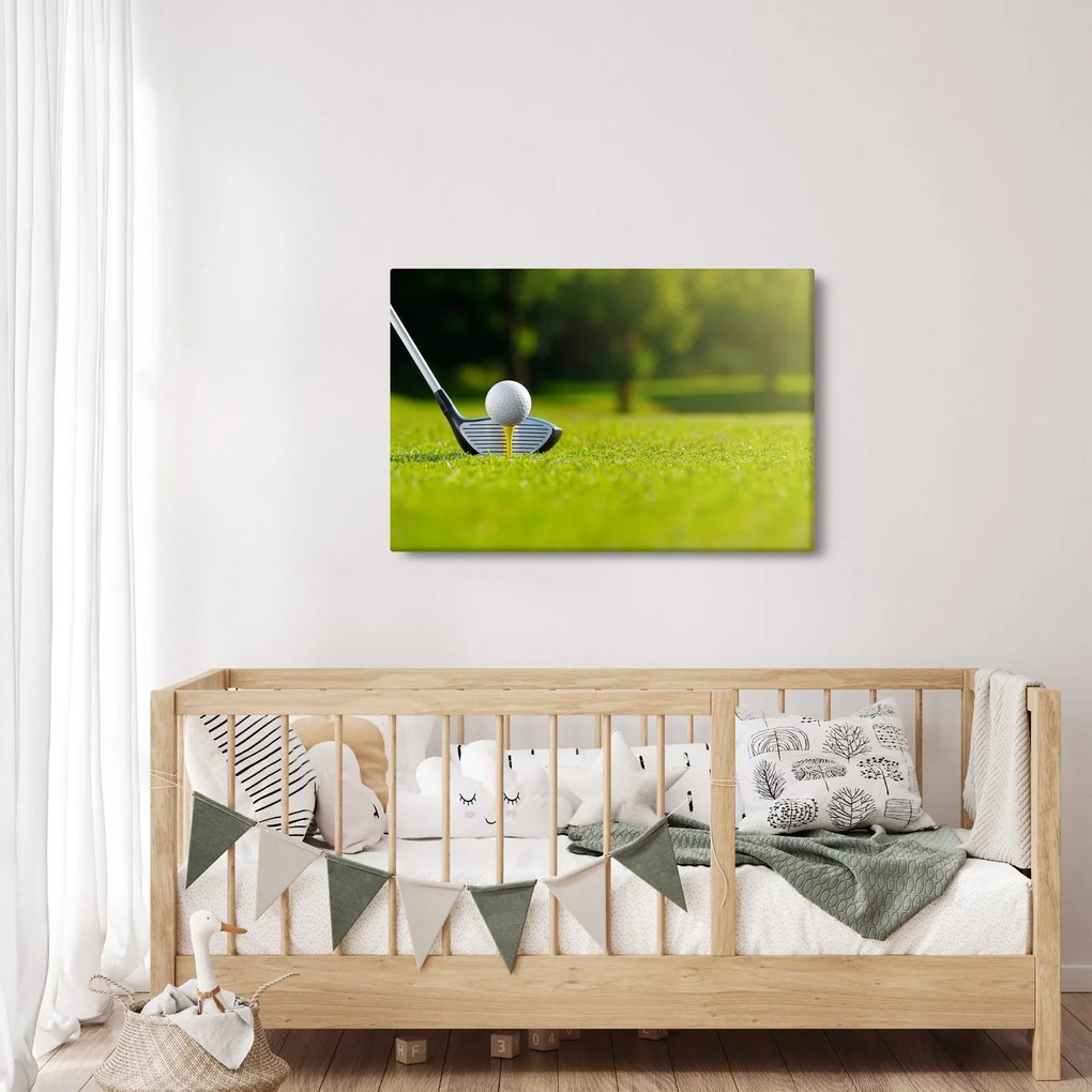 Obraz - Golf (90x60 cm)
