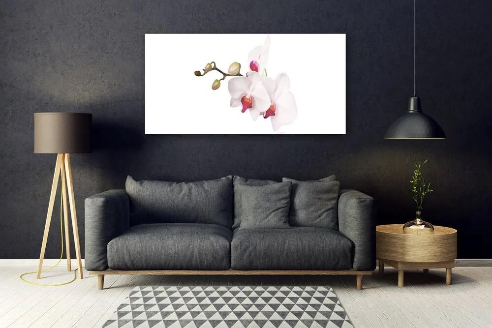 Obraz plexi Kvety príroda orchidea 120x60 cm