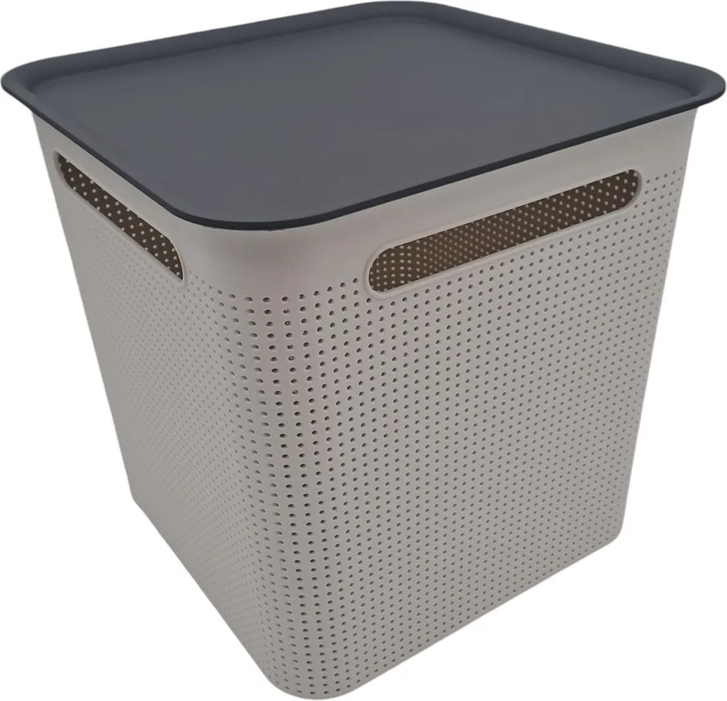 Rotho Úložný box s víkem a s madly BRISEN 18l, 29x29x29cm, bílý