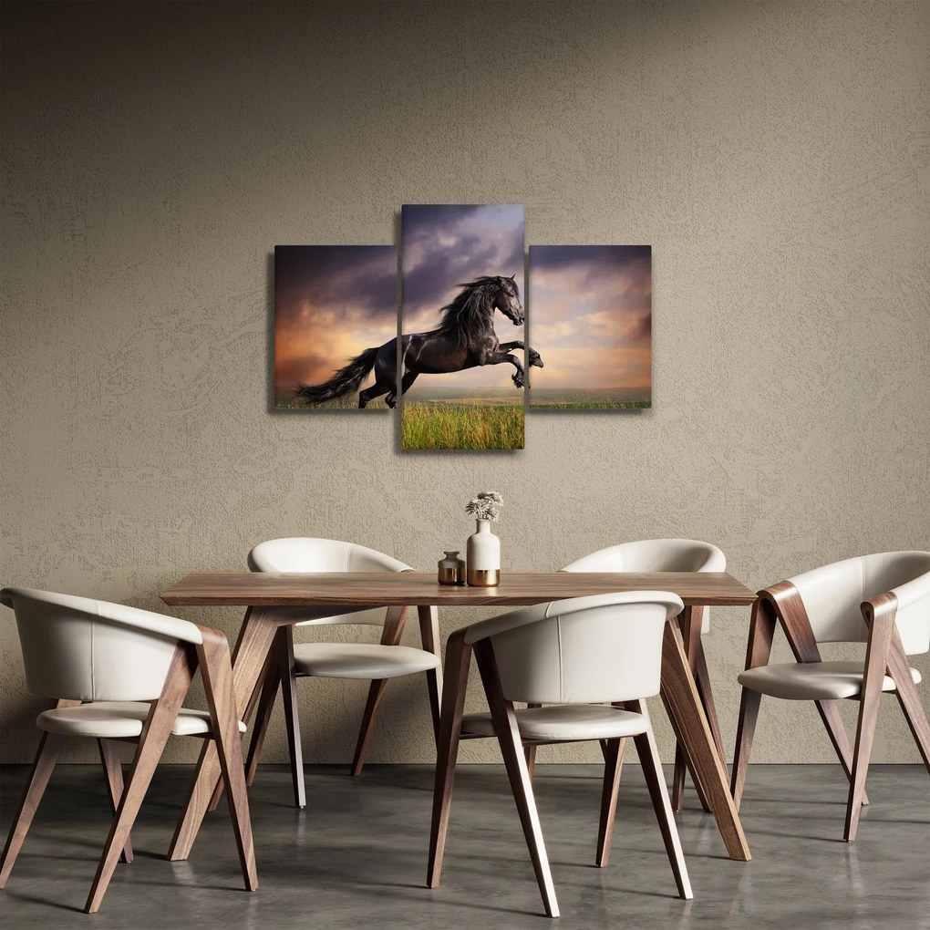 Obraz - Kone (90x60 cm)