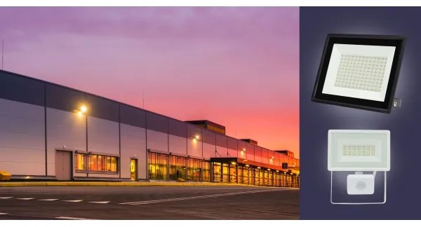 LED Vonkajší reflektor NOCTIS LUX 3 LED/30W/230V 3000K IP65 biela