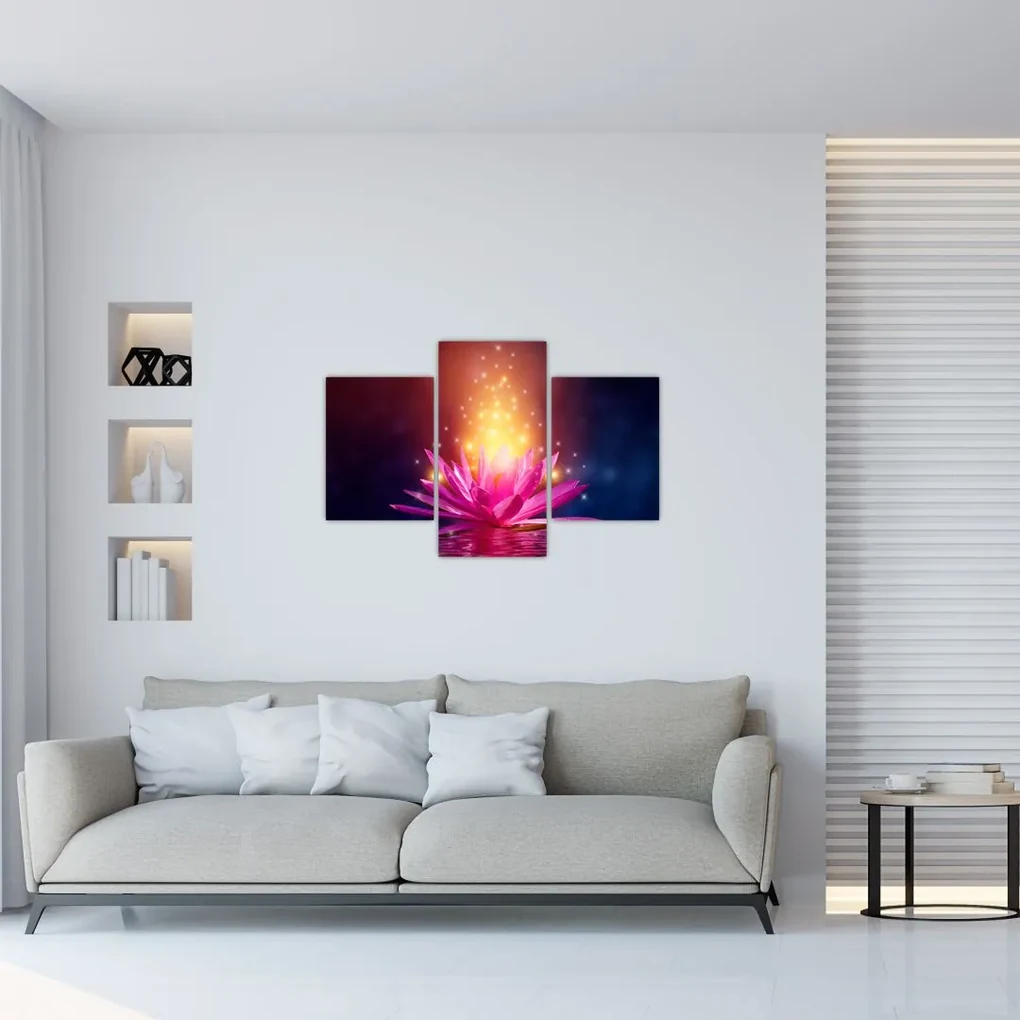 Obraz lekna na vode (90x60 cm)