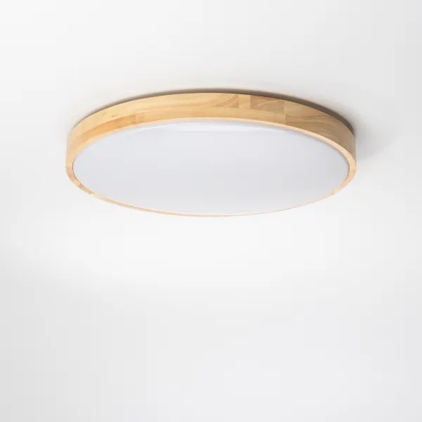 Brilagi - stmievateľné LED stropné svietidlo PINE LED/24W/230V + diaľkové ovládanie