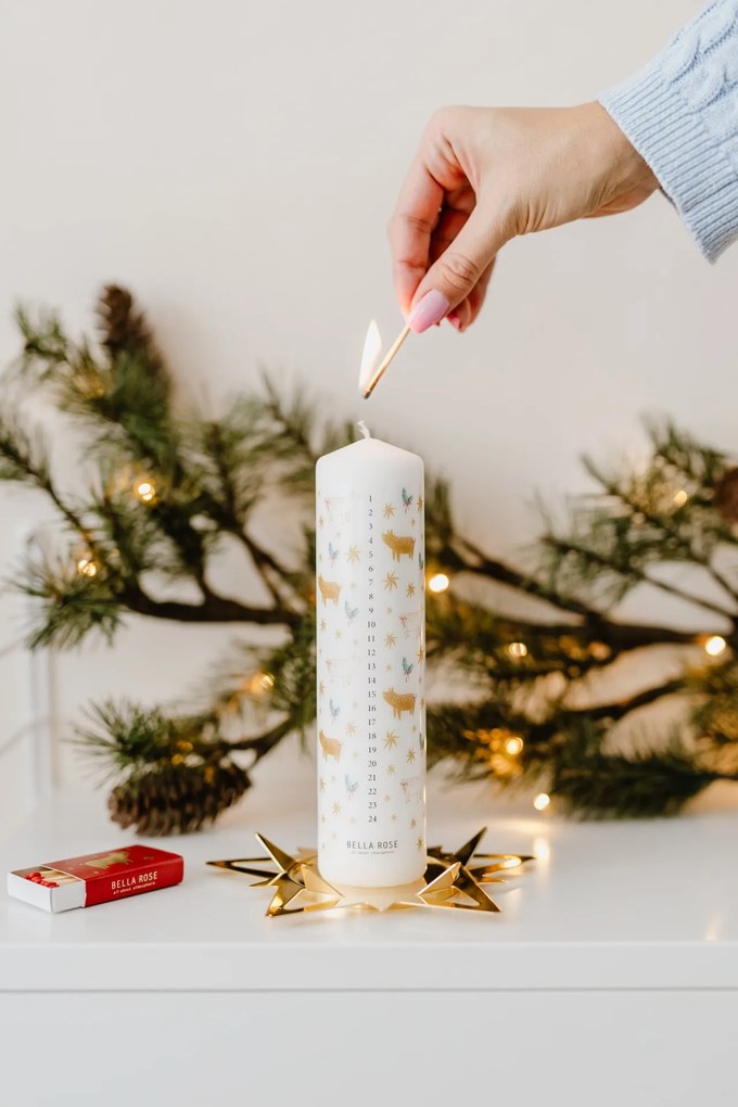 Bella Rose Adventní svíčka Zlaté prasátko