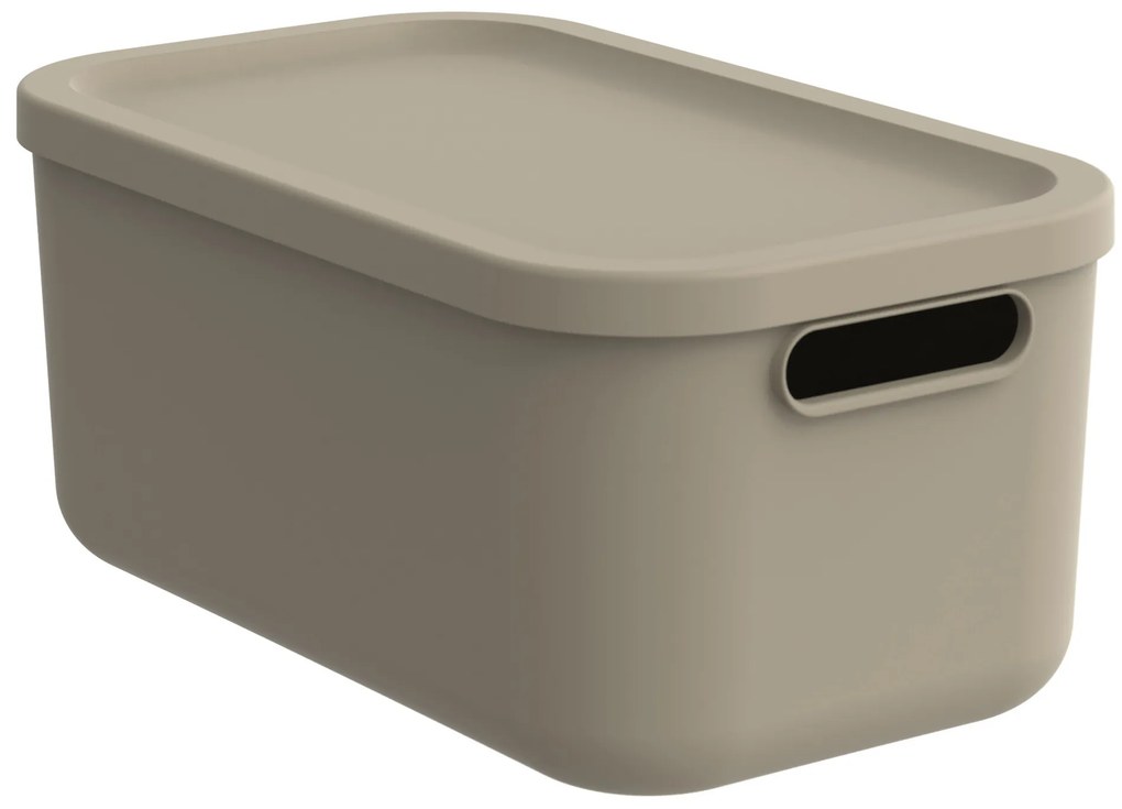 Rotho Úložný box, rovný s víkem, 12l, cappuccino ALBU LIGHT, 40x24x18 cm