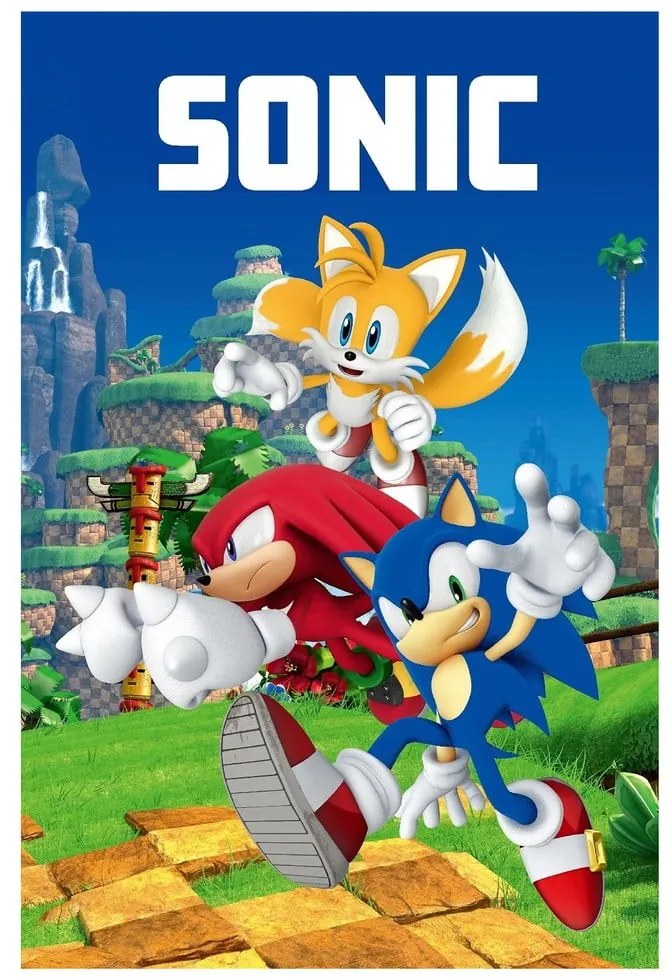Fleecová detská deka 100x150 cm Sonic – Jerry Fabrics