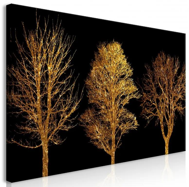 Artgeist Obraz - Golden Forest (1 Part) Wide Veľkosť: 120x60, Verzia: Premium Print