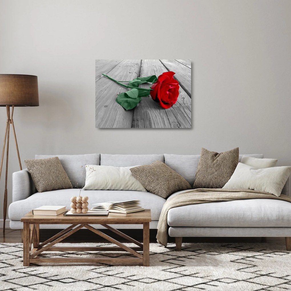 Sklenený obraz - Červená ruža so zelenou stonkou (70x50 cm)