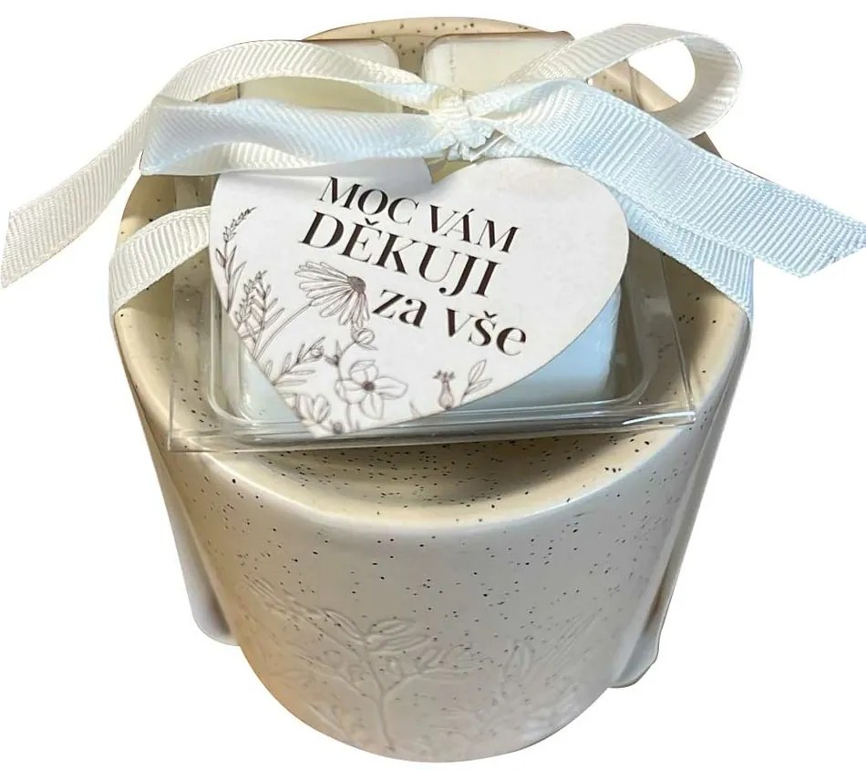 bohemia Gifts Arómalampa s vonnými voskami - Děkuji