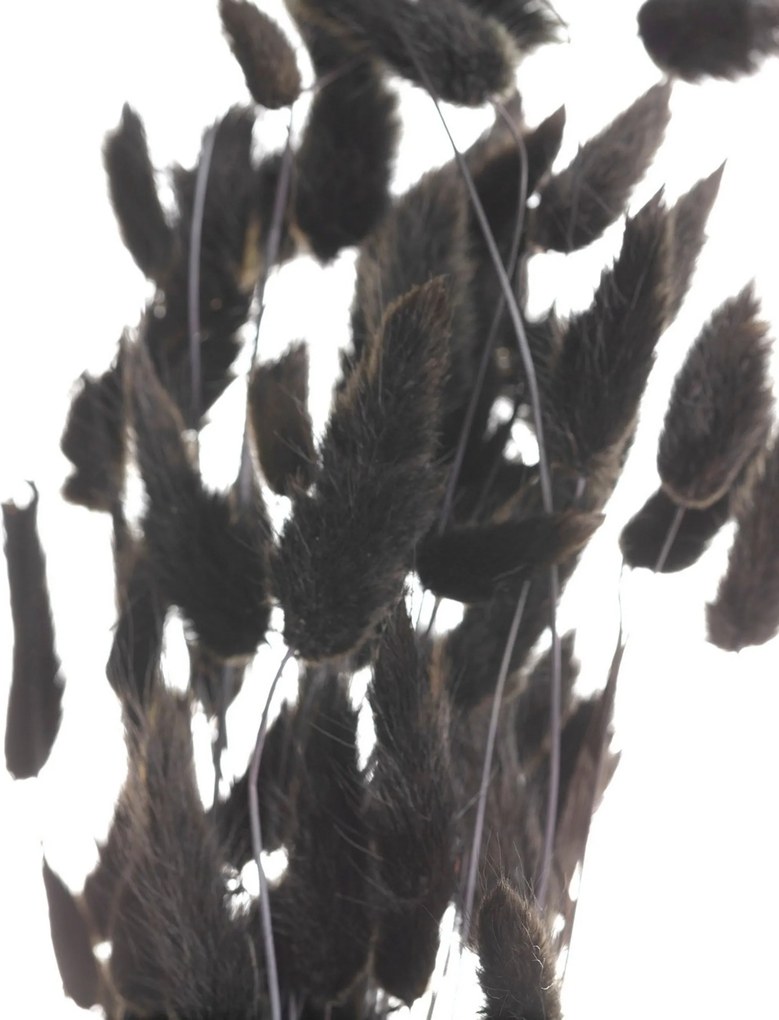 Kytica fúkačiek 60cm dark brown