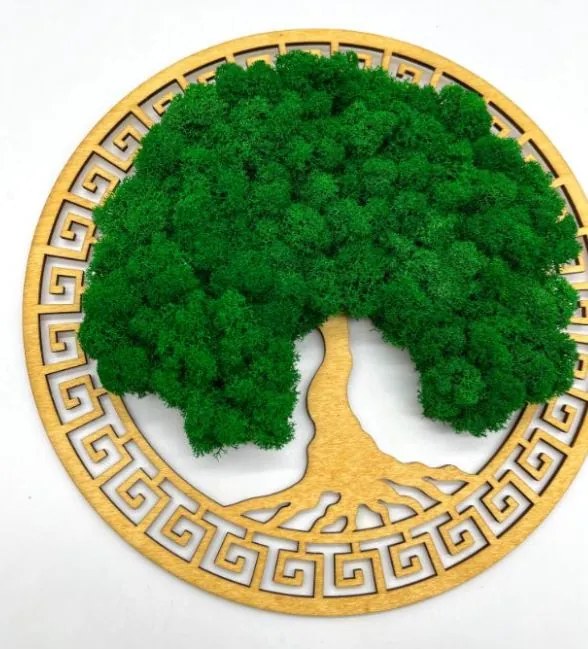 Strom na stenu z machu Olympus 30 cm