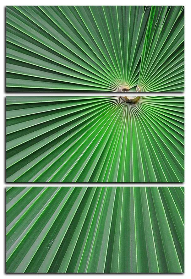Obraz na plátne - Tropické listy - obdĺžnik 7205B (120x80 cm)