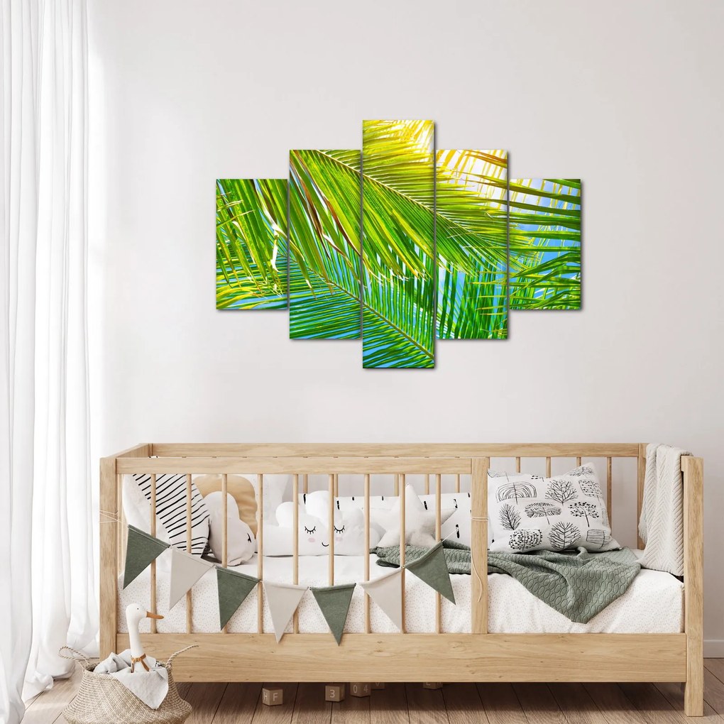 Obraz - Palmové listy (150x105 cm)