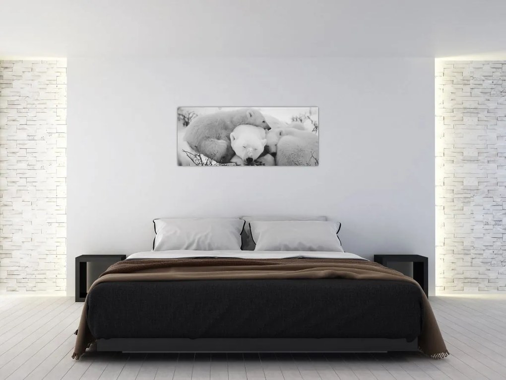 Obraz - Ľadové medvede (120x50 cm)