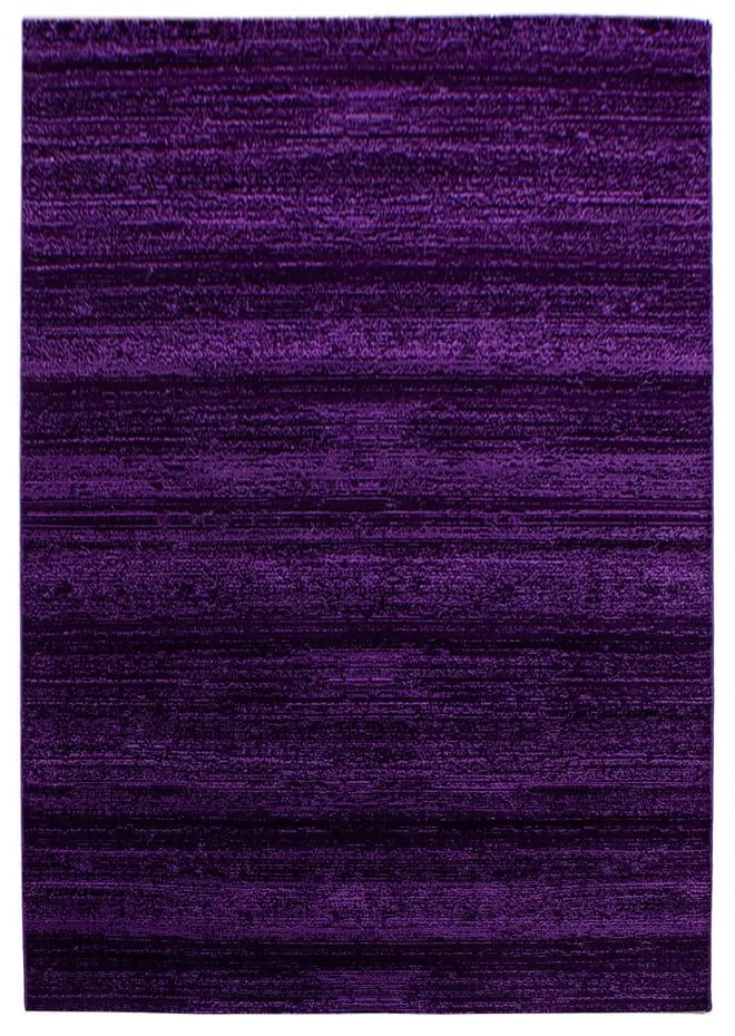 Tmavofialový koberec 160x230 cm Plus – Ayyildiz Carpets