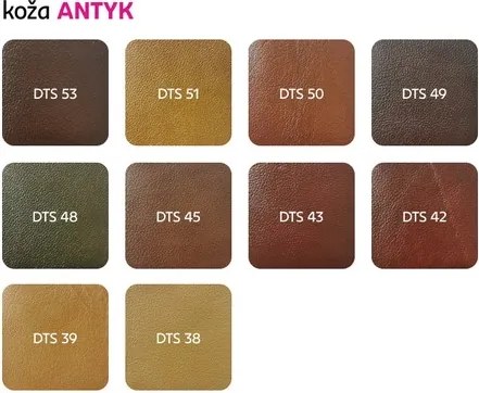 Kožené kreslo Cezar III - wenge / biela (White snow)