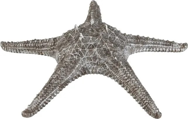 Dekoratívne šedo strieborná morská hviezdica - 37 * 37 * 10 cm